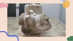 20201224祥和园区种植团_html_m7b821374.jpg