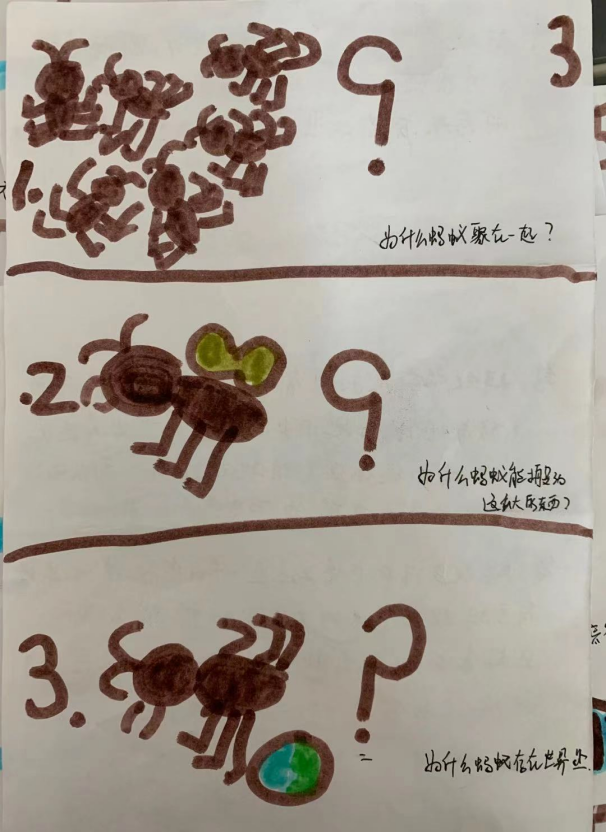 20210113【班级动态】大一班项目课程分享——蚂蚁探秘之旅_html_ma1e43ad.png
