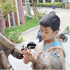 20251018【生活燕幼】“诞辰纪念行知先生 ,陶娃传承教育之光”——纪念陶行知诞辰134周年活动新闻稿_html_m2c929283.png