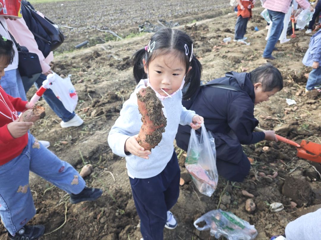 【生活燕幼·园区动态】下庙分园:大手牵小手,一起“趣”秋游——亲子秋游活动_html_m40a8e4c8.jpg