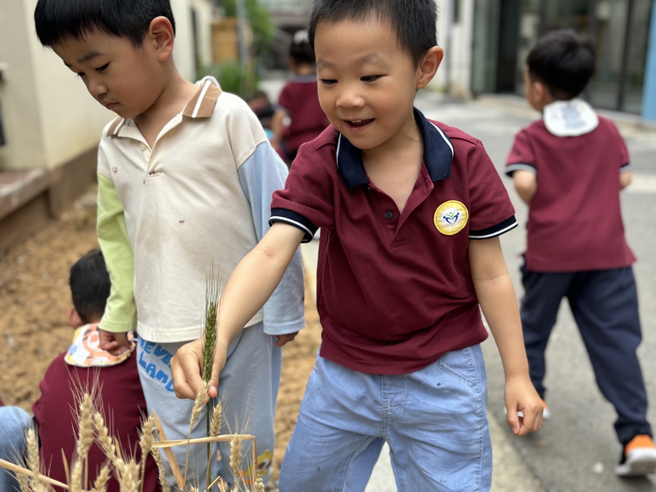 20240520 【生活燕幼·园区动态】“夏意芬芳，幸福满满”——舌尖上的节气之小满_html_3c5e1ebb.jpg