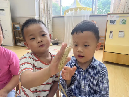 【生活燕幼·园区动态】下庙分园：“知芒种，乐收获”——芒种节气活动_html_72115791.png