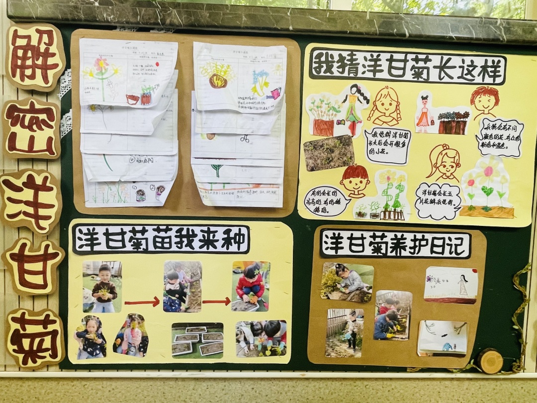 20220614【园区动态】下庙园区：“播种希望 收获成长”——班级种植墙评比活动新闻稿_html_m6778722f.jpg