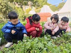 20230224燕幼中心园：新学期，新变化_html_m47b28042.jpg