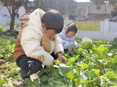 【生活燕幼·园区动态】燕幼中心园雨水时节，润物无声——大一班雨水节气活动_html_495d5d1c.jpg
