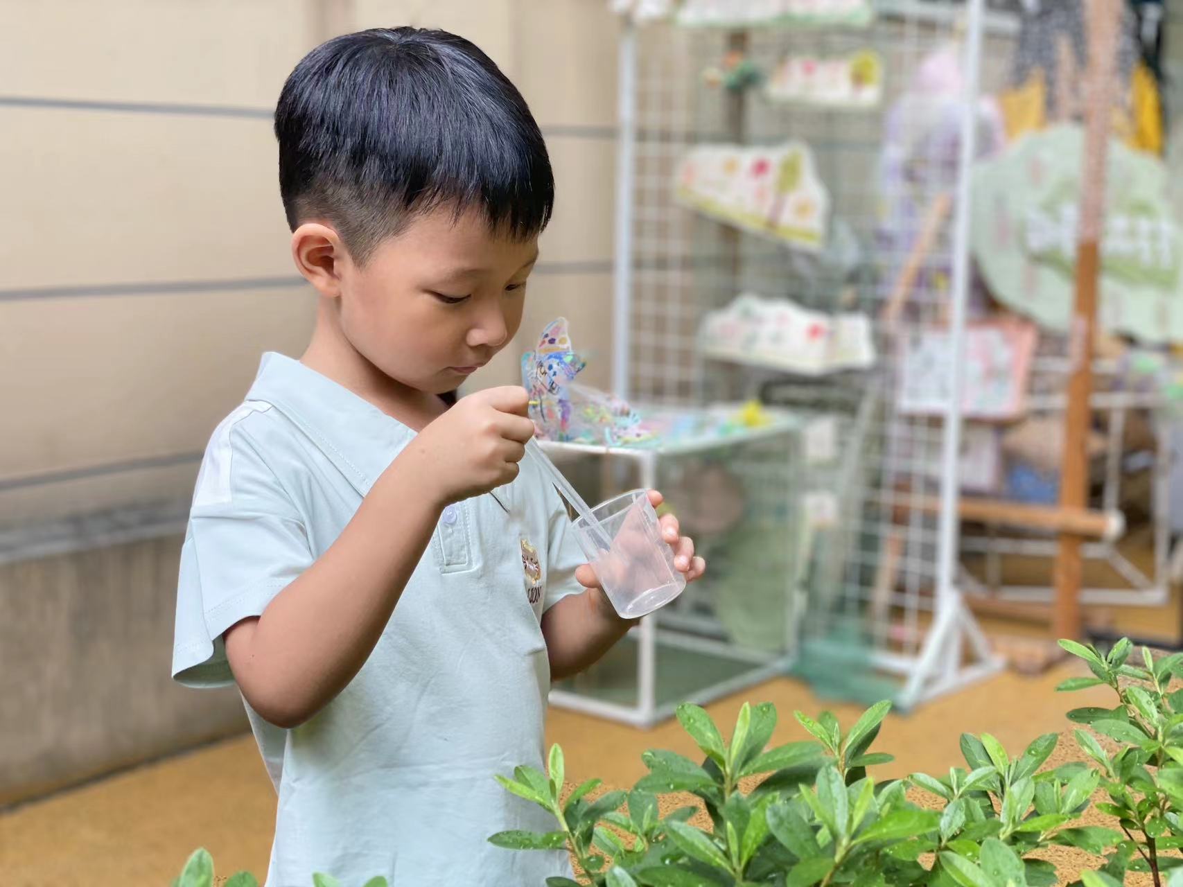 20240905【生活燕幼·园区动态】新城分园：“秋高气爽，白露生凉”——二十四节气活动活动_html_m7bbcf42e.jpg