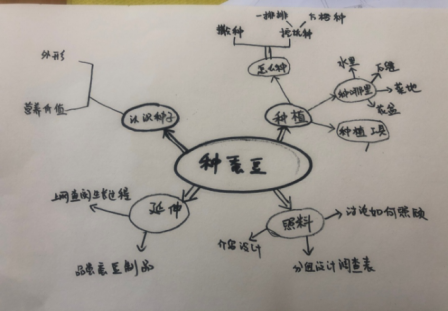 祥和园大班项目课程种植蚕豆新闻稿(1)_html_3b487dc6.png