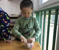 祥和园大班项目课程种植蚕豆新闻稿(1)_html_37d260e4.jpg