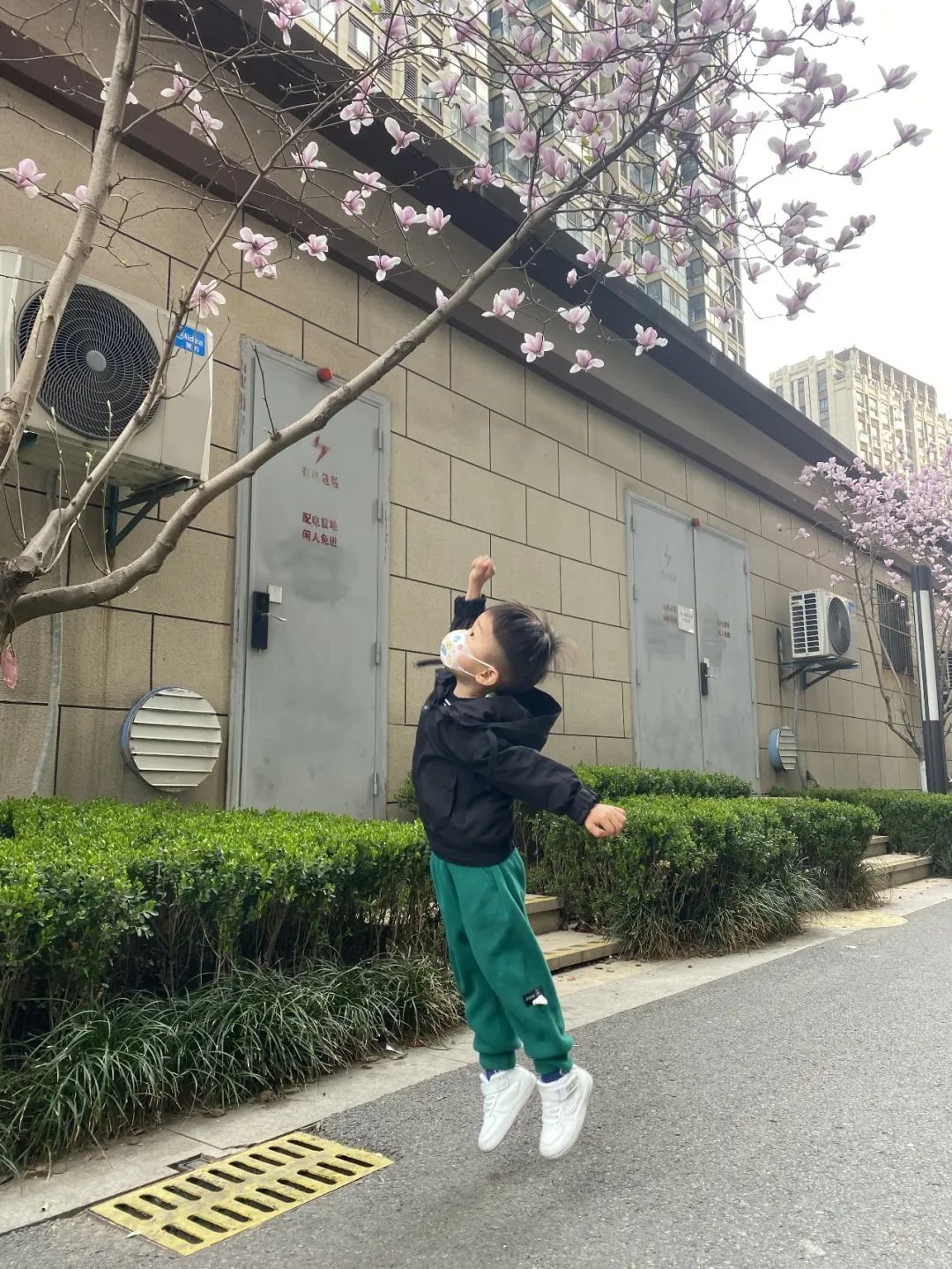 20230328【生活燕幼·园区动态】燕鸣苑分园：趣探惊蛰 万物新生——记小二班惊蛰节气活动_html_1f23b888.jpg