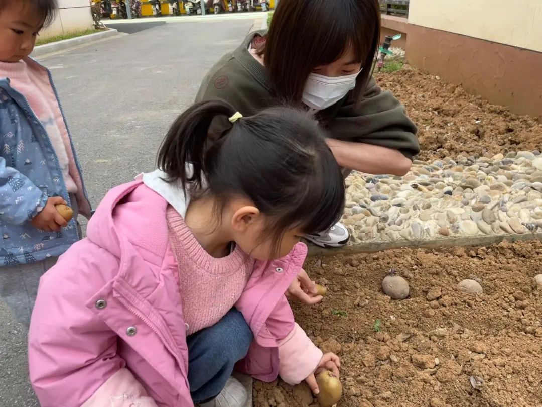 20230328【生活燕幼·园区动态】燕鸣苑分园：趣探惊蛰 万物新生——记小二班惊蛰节气活动_html_3024cb67.jpg