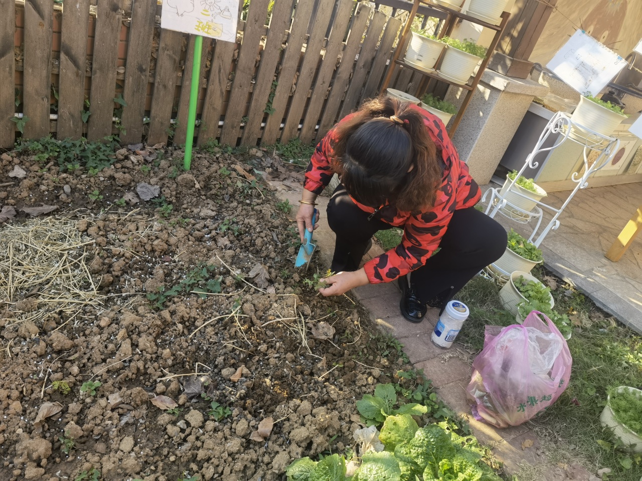 20231208【生活燕幼·年级组动态】下庙分园：“家长乐参与，幼儿趣种植” ——大班种植团活动_html_1793795f.jpg