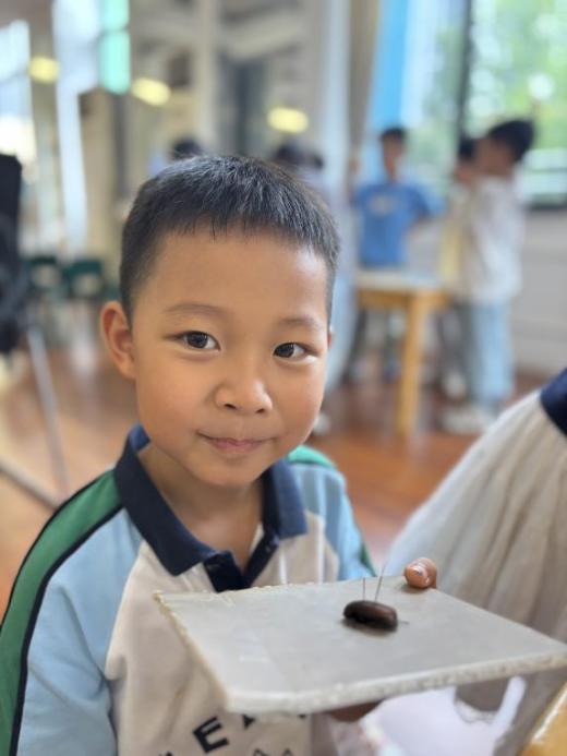 2025.9.17【生活燕幼&middot;园区动态】“昆虫密语”开讲！科学副园长带萌娃探秘微观大世界_html_m6a482b6c.jpg