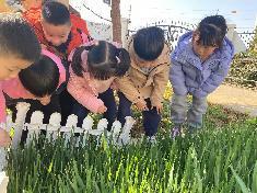 2023.03.09燕幼中心园 大二班 惊蛰节气活动_html_182889a7.jpg