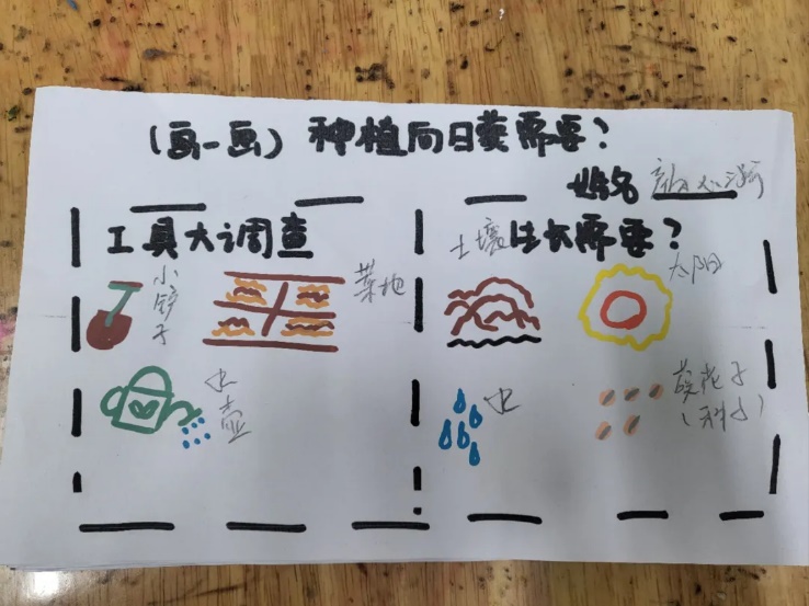 20230324新城园种植月活动（中期展示）_html_55776e36.jpg
