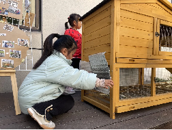 20231121【生活燕幼·园区动态】“童”参与 “童”议事——小桃子议事会第十次会议_html_31fb257f.png