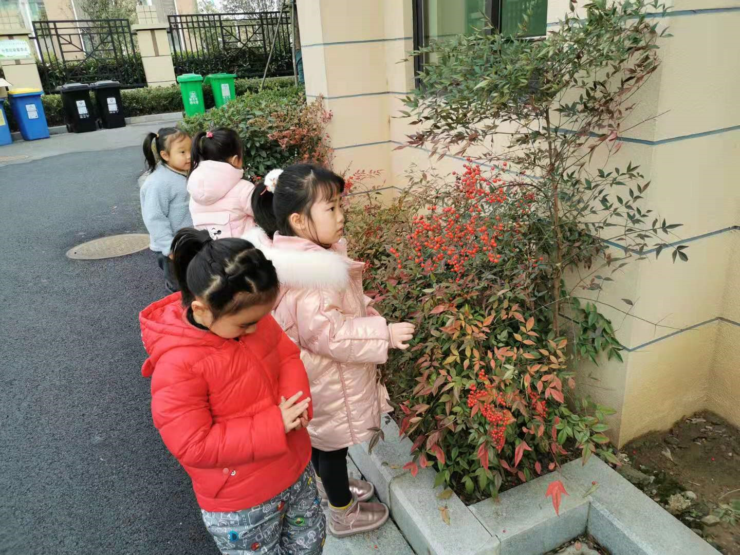 图片 132.jpg