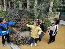图片 6.png