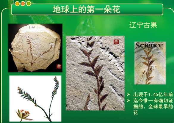 新闻稿_html_6328cdbd.png
