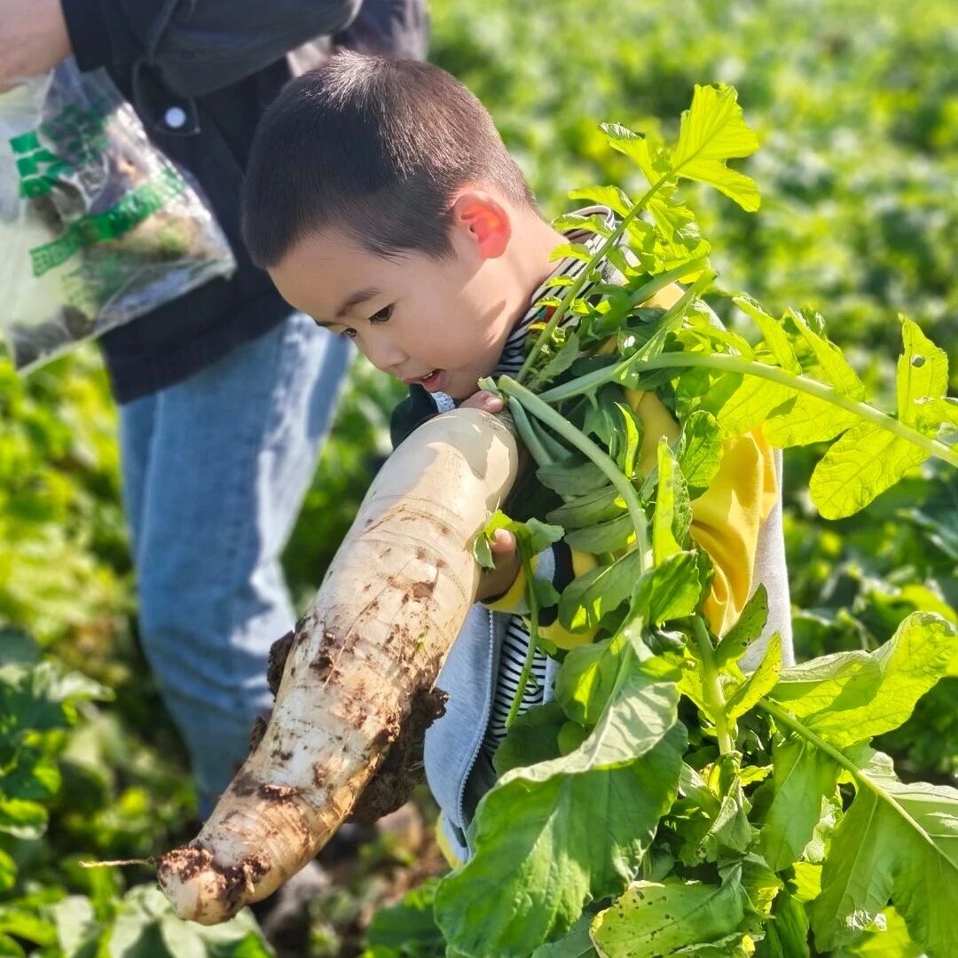 459294b979a31f925f64113b8ebeab48.jpg 459294b979a31f925f64113b8ebeab48.jpg