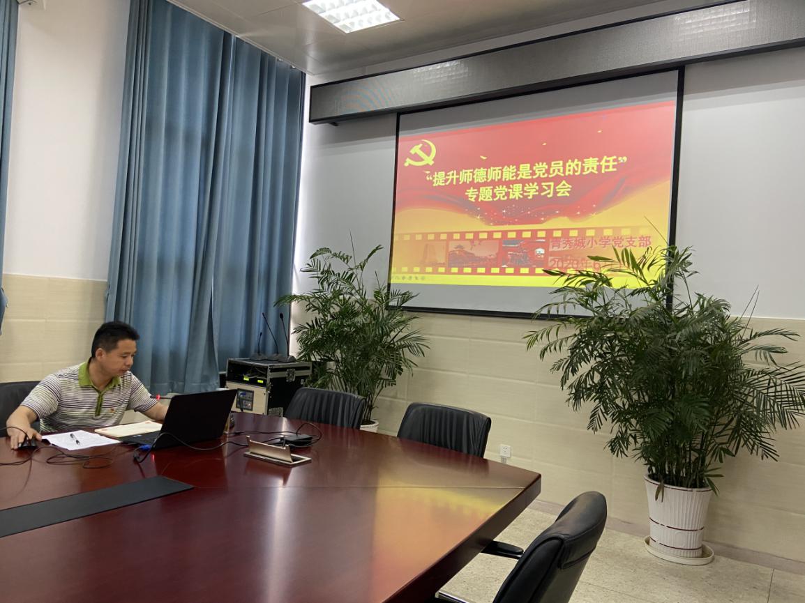 提升师德师能是党员的责任---_html_me5274dc.jpg