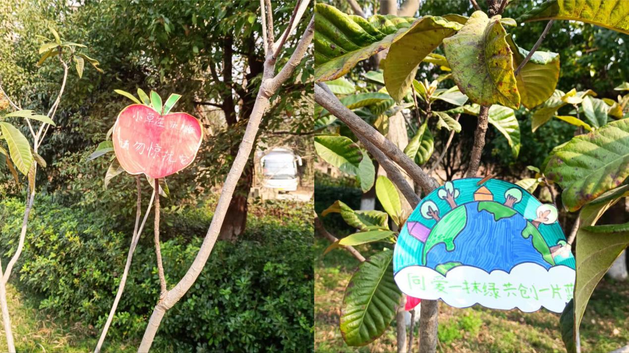 【大爱青秀】植树节新闻稿(2)_html_m7f0cefe8.jpg