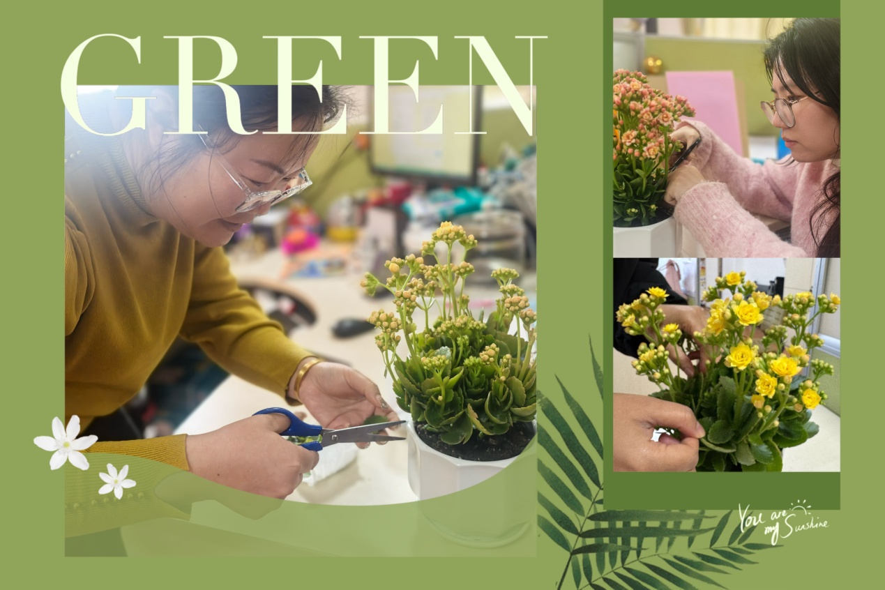 2025.3.25沈月芸【大爱青秀·心育】赠一抹绿意   许满心欢喜----青秀城小学绿植疗愈活动小记_html_m55fba18d.jpg