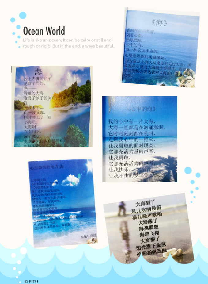 四年级漫步诗林新闻稿_html_4bc4334e.png
