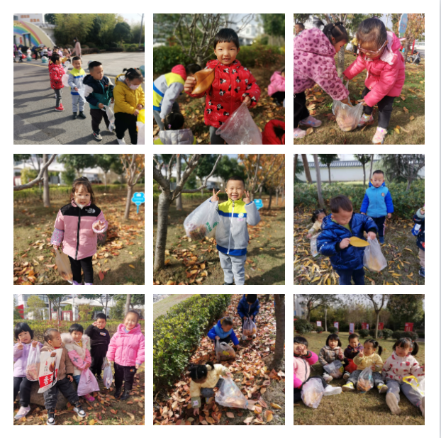 【乐活龙幼】捡拾落叶 留住秋天 ——记龙潭幼儿园长江分园小班组捡落叶活动