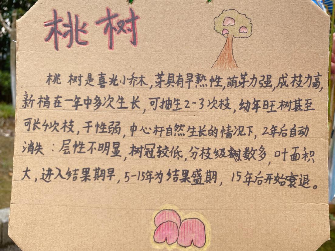 20213.12植树节活动_html_55ed52e1.jpg