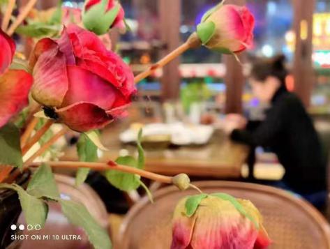 20210322杨晓倩摄影大赛_html_m6f150756.jpg