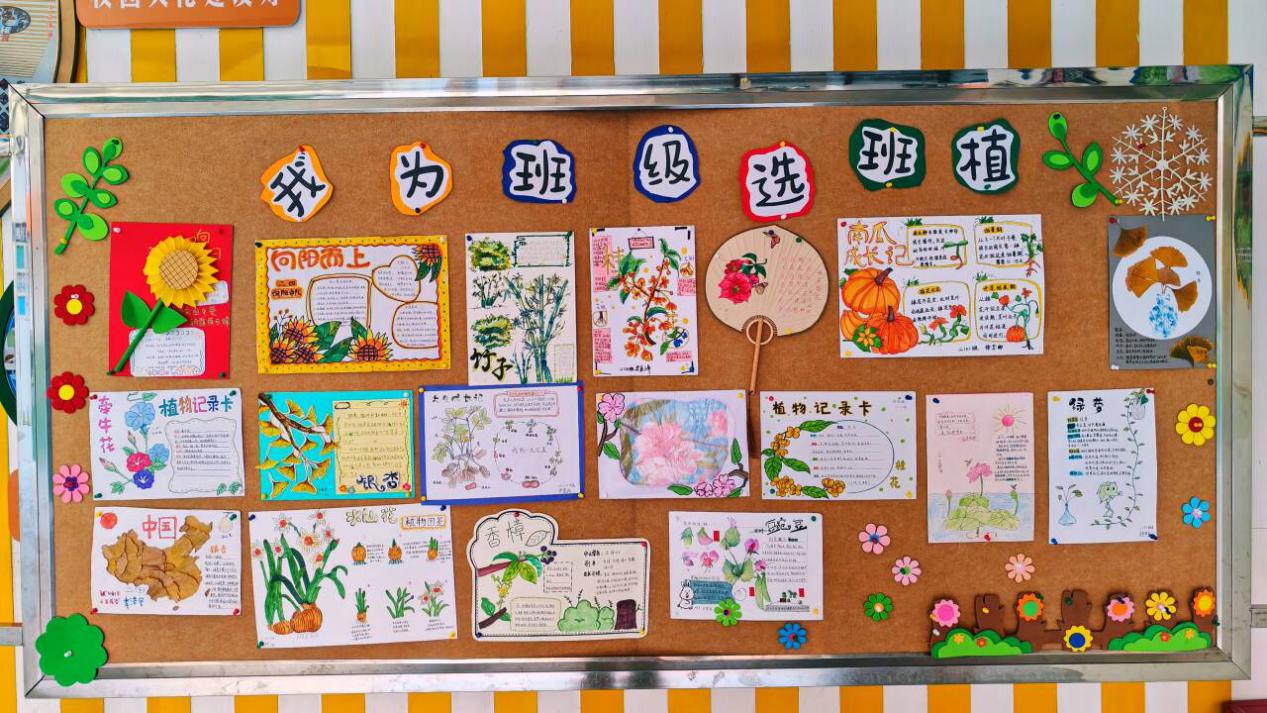 我为班级选班植语文实践活动报道_html_m69bef915.jpg