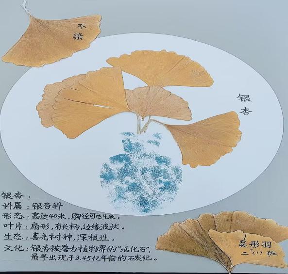 我为班级选班植语文实践活动报道_html_12ee5a33.jpg