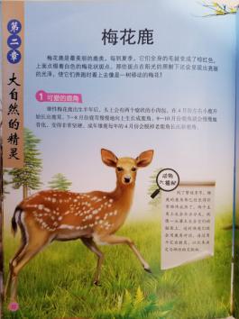 南湾营小学图书馆2021年4月好书推荐_html_m7cb3bfcc.jpg