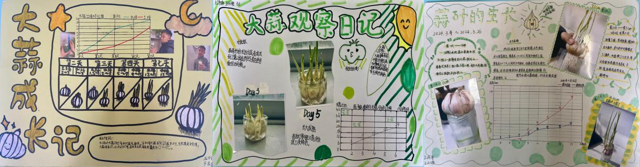 20240412五年级数学实践活动报道_html_7a3db32d.jpg