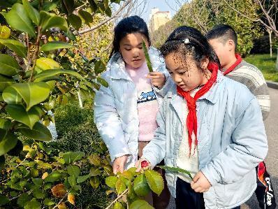20250312植树节活动_html_3cae887.jpg