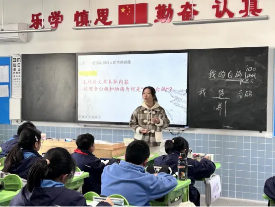 【绿色华中·至臻教研】“新”光璀璨 芳华初绽——我校开展2024年秋新教师汇报课活动