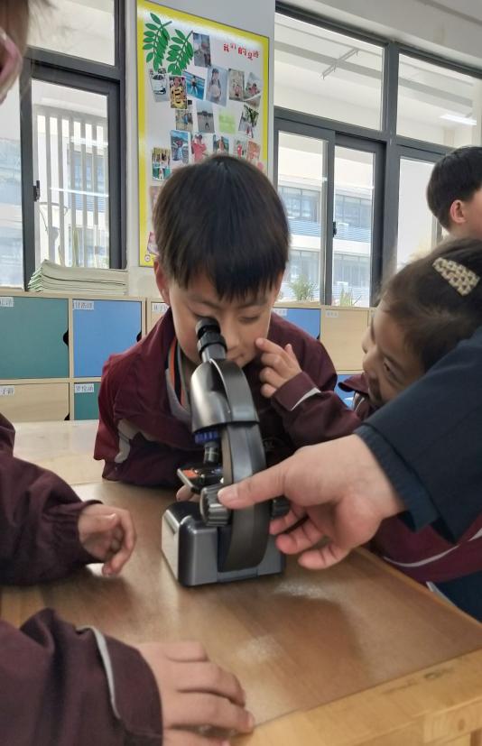 家校共育之“奇妙的微生物王国”（57）_html_m567bdd87.jpg
