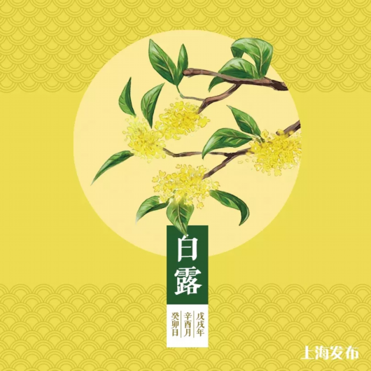 小六班白露活动_html_c73a376.png