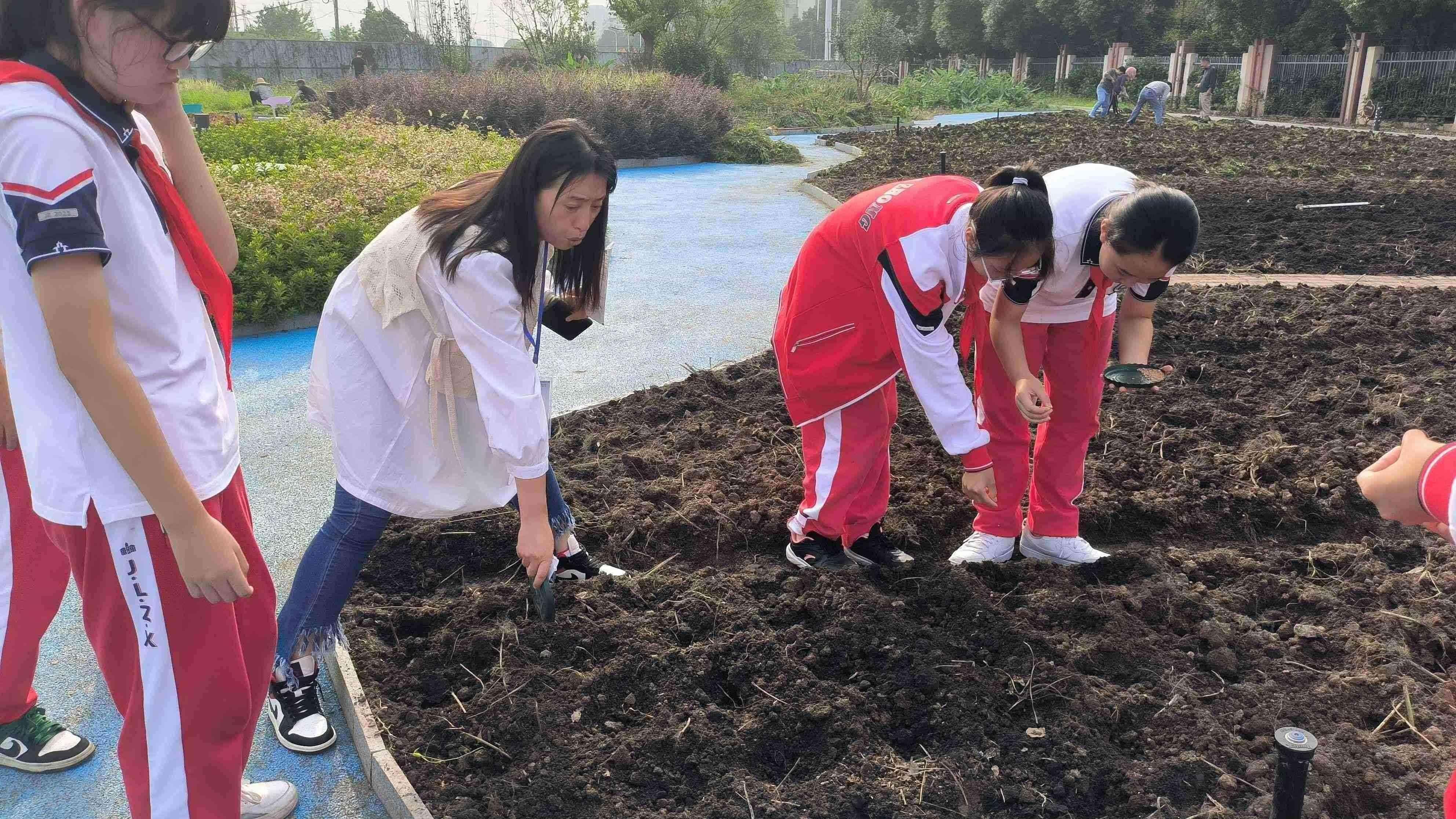 【臻美金龙】让希望播种，让梦想开花——金中仙林龙潭校区开展蔬菜种植劳动教育实践活动_html_1efff9b2.jpg