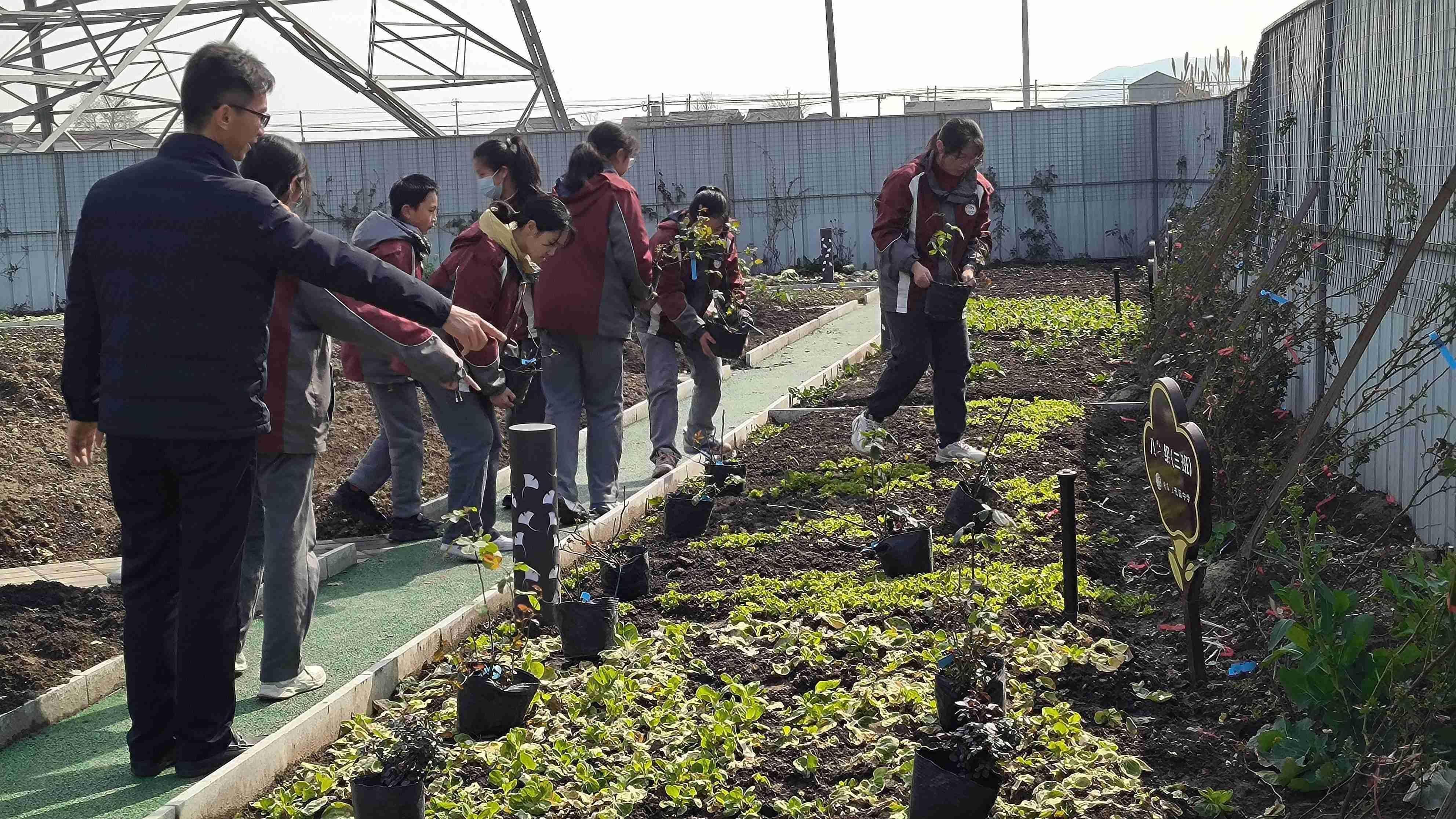 【臻美花中 花样劳动】阳春布德泽，静待花开时——南京市园中学开展月季种植活动_html_42c92b77.jpg