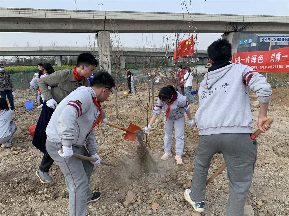 2022.3.11植下一棵树，收获万点绿——南京一中马群分校开展植树节活动_html_m43e1150a.jpg