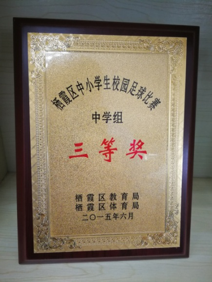 南京一中马群分校【荣誉奖项】_html_5885f2bc.png