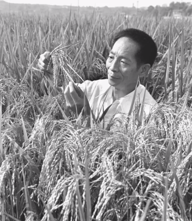 红领巾学先锋第2期_html_m3351871b.png