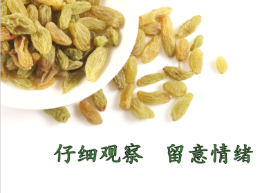 【知行晓庄】接纳生命不完美，润心赋能促成长