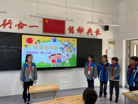 探寻“鸡蛋”奥秘新闻稿_html_12279738.jpg