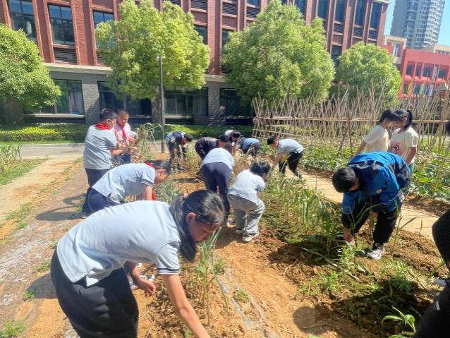 20240517“劳”以启智  “动”以润心(1)_html_fcceaab.jpg