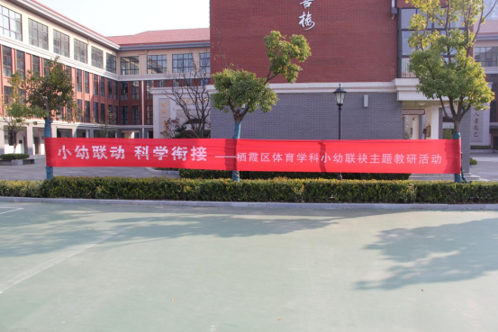 【知行晓庄】小幼联动   科学衔接——栖霞区体育学科小幼联袂主题教研活动