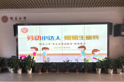  【知行晓庄】 【特色活动】劳动小达人 熠熠生童辉——记晓庄小学“亲生活劳动教育”特色项目现场评审