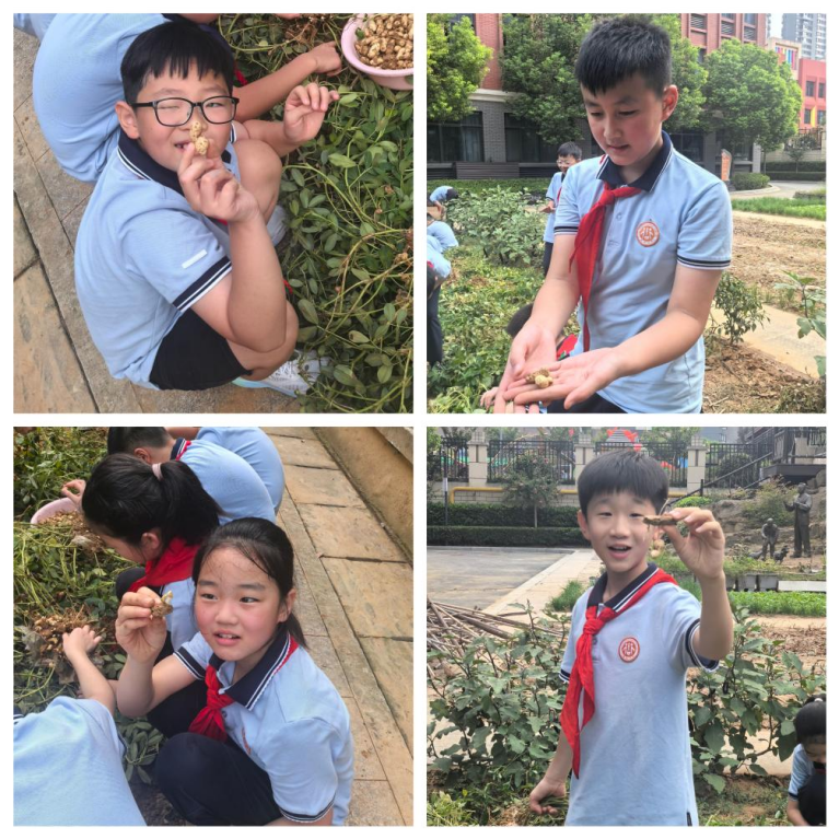 20240910致敬陶行知—不一样的教师节_html_632a0d3c.png