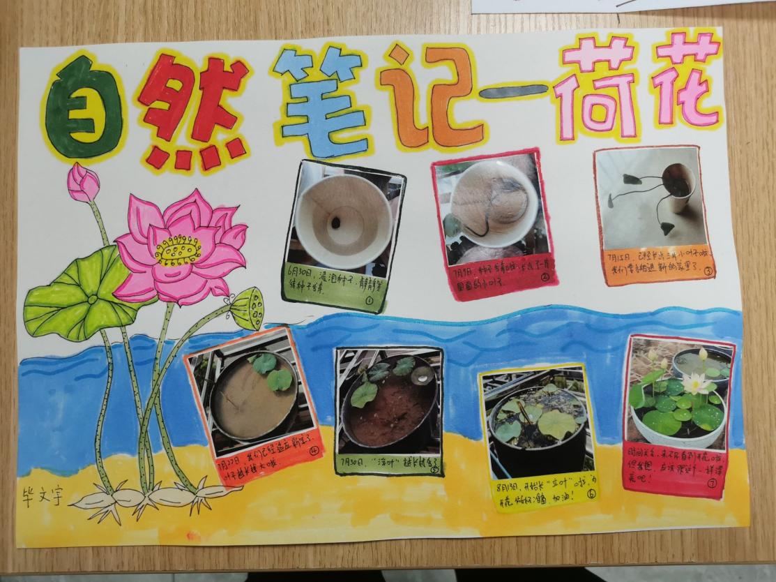 一6班暑期长程作业_html_62501b29.jpg